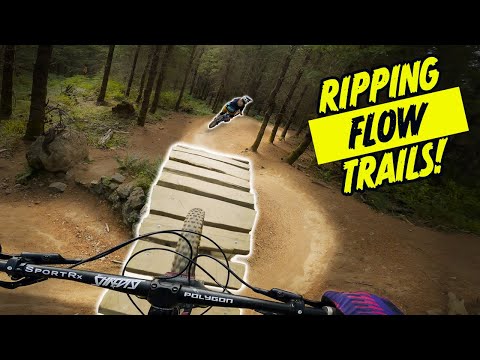 Galbraith Mountain Blew Our Minds // Evolution - Unemployment Line - Atomic Dog