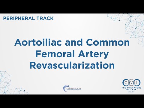 CVI 2025 - Peripheral Session 9: ACFA Revascular