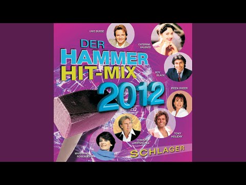 Hit Mix Medley (Radio Version)