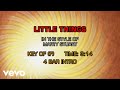 Marty Stuart - Little Things (Karaoke)