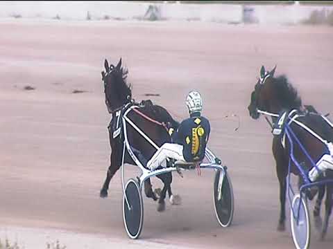 Trotto 26/10/2018 - 5ª corsa