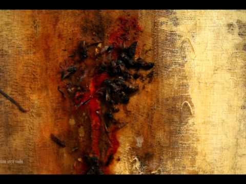 Nine Inch Nails - Ruiner