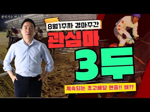 8/2-3-박수홍-[서울경마 Best3] 계속되는 초고배당 연출!! 왜?? 휴장앞두고 최선 다할 서울경마!!#박수홍경마#관심마3두#서울경마