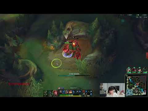 Rank1 Lee Sin World vs Talon jg (P1 Super Server)
