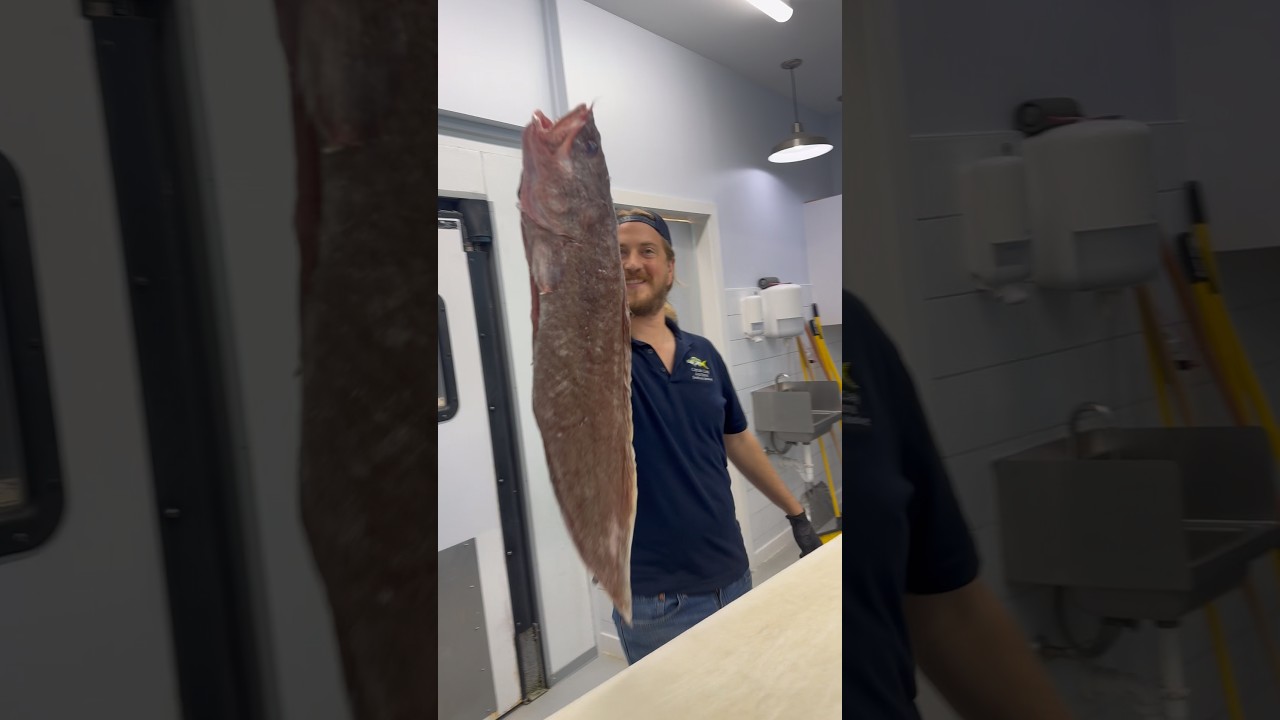 What the Hake is that!? ​⁠@DexterOutdoors