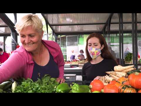 Ceger ep. 335 02.08.2020.