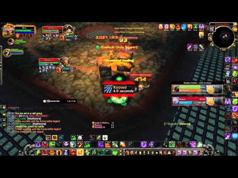 Mivi lvl 90 Destruction Warlock 2v2 arena #1