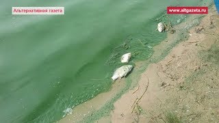 Форум рыбалка на торбеевом озере
