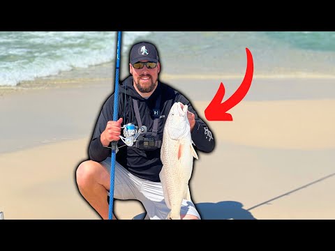 This is how you CATCH BIGGER FISH at the BEACH!!