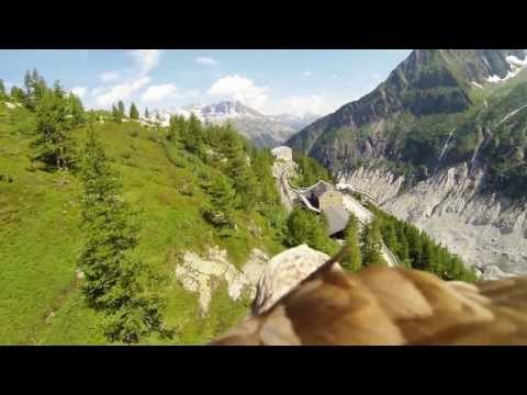 DarkMirror - The Memories