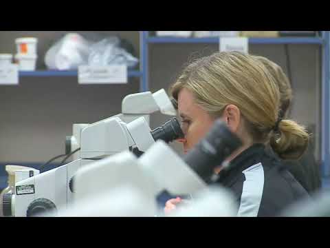 Polio Like Virus Update