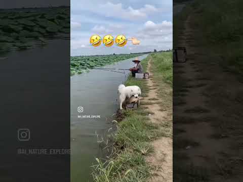 พ่อมาตกปลาบักหล่าอย่ามาท้าทายใส่พ่อ🤣🤣🤣👈🏻
