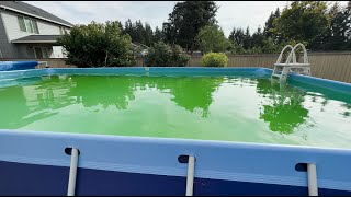 How to Get Algae Out of Your Pool - the SLAM Process