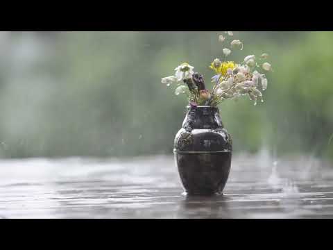 Còn đây câu nói yêu em - Vương Đức Hậu