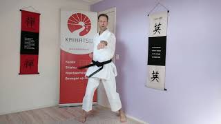 Tsuki-waza stoottechnieken