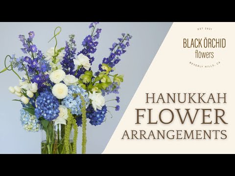 🕎🌸 Make Your Hanukkah Shine with Black Orchid Flowers 💐