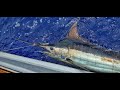 Marlin Fishing with Kevin Hibbard | The 6 Feeding Times