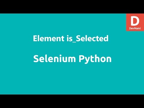 Selenium 3 Python Chrome Driver