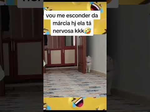 HUMOR EM FAMÍLIA #shortsviral #shorts #humor #foryou