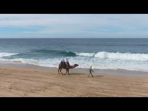 Camel riding in Cabo