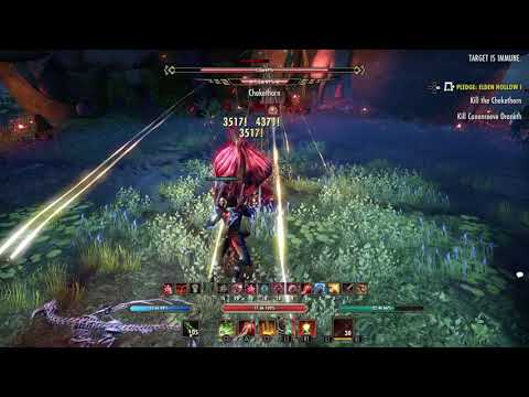 ESO ー Chokethorn Boss (Glitch?)
