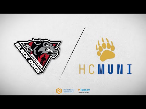 Sestřih: Black Dogs Budweis - HC Masaryk University  1:2