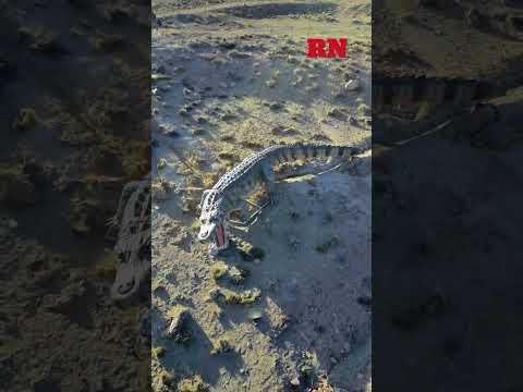 Comallo inaugura su Paleoparque: un atractivo único en la Patagonia