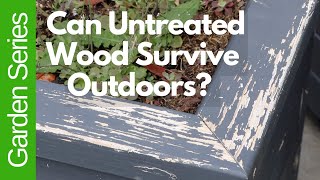 How Long Can Untreated Wood Survive Outdoors?