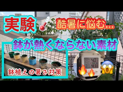植物にアルミホイルを置く意味は何ですか？ 5 による答え  庭園