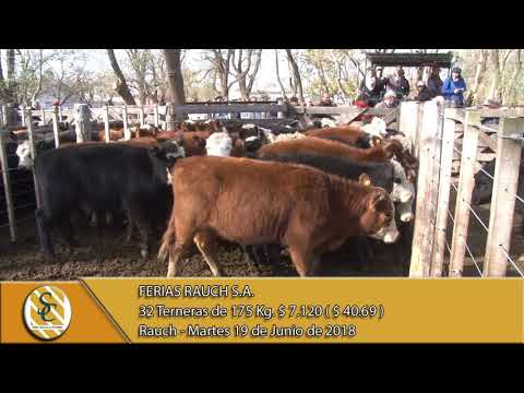 19-06-18 Venta de Hembras - Ferias Rauch S.A. - Rauch.