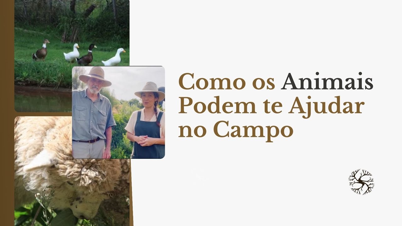 Como Fazer Conexões Positivas com os Animais