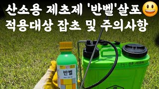 산소용 제초제 '반벨'살포 