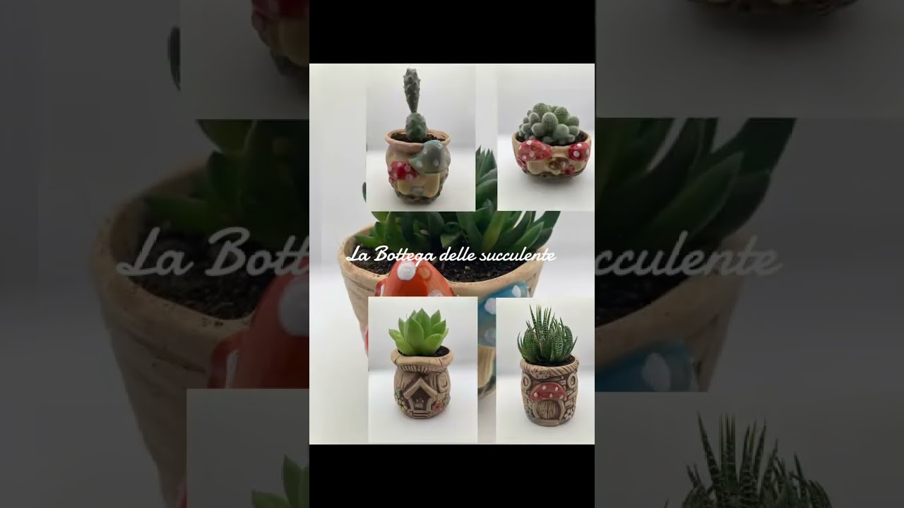 collezione 2025/2026 