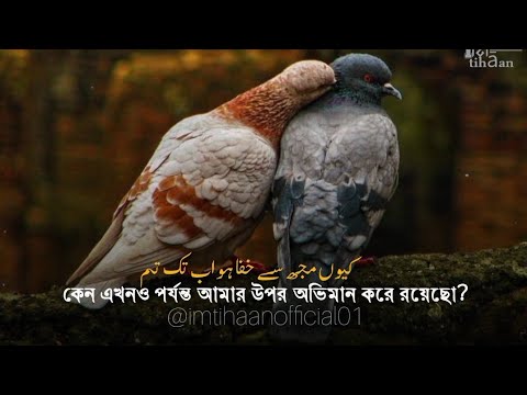 Emotional Kalam- Ab Bhool bhi jao Jane do ||  Hafiz Amanullah Qazi || urdu and bangla translation ||