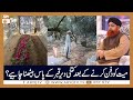 Mayyat Ko Dafan Kar Ke Kitni Dair Tak Qabar Ke Pas Bethna Chaye Mufti Akmal ARY Qtv