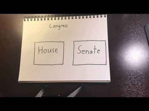 Donald Trump 2nd Impeachment explained 4 kids