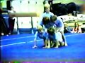 1983 anthony violi gymnastics u0026 mike s 4th birthday