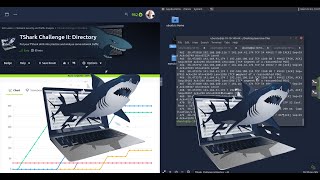 Download the video "🦈🦈 TShark Tutorial: Solving the TShark Challenge II Directory  | Tryhackme SOC Level 1 | SAL1  🦈🦈"