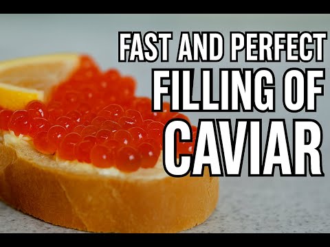 🕒 Schnellste Kaviar-Abfüllmaschine auf dem Markt – Lernen Sie den AWF-Stückgutfüller kennen 🐟