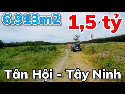 Bán đất 6.913m2 giá 1,5 tỷ đã tách ra 2 sổ ở xã Tân Hội Tây Ninh cách ttrung tâm Tân Châu 9km