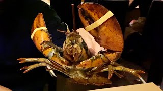エビラ
