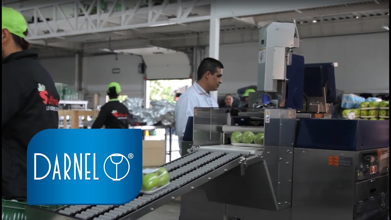 Máquinas Empacadoras Digi