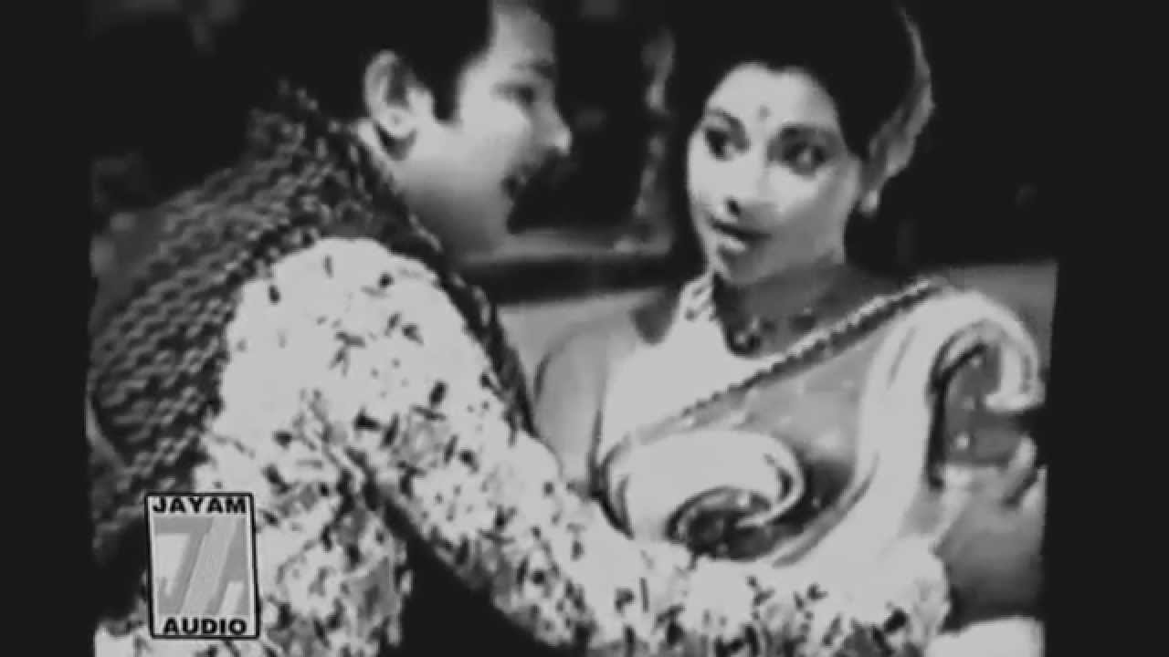 Panimalai Megangal Song Lyrics | Thottathellam Ponnagum | S. P. Balasubrahmanyam, P. Susheela