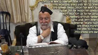 262הלכה יומית סימן קסב- הגבהה ושפשוף הידיים בנטילה סעיף ח-י הרב בניהו שמואלי