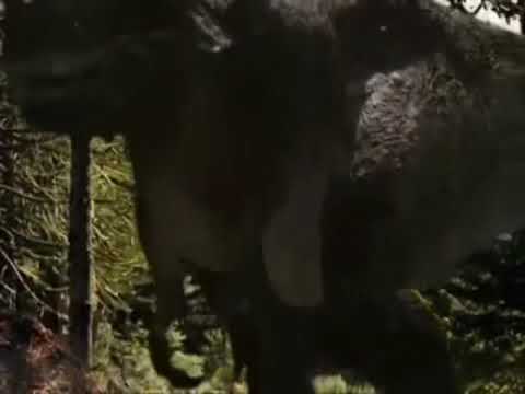 Walking with dinosaurs 1999 - t rex roar