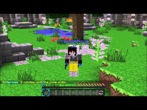 Master Chief2006 and PrestigeNinja teaming in sg heroes