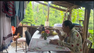 Almoçar sozinha 😞 CUIDAR DOS ANIMAIS 🐣🐶🐈‍⬛LIMPAR A CASA 🏠 ROTINA DA ROÇA 