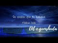 Dil E Gumshuda Ost Lyrics ||Nabeel Shuakat Ali ||
