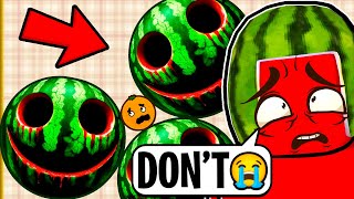 DO NOT MAKE A WATERMELON