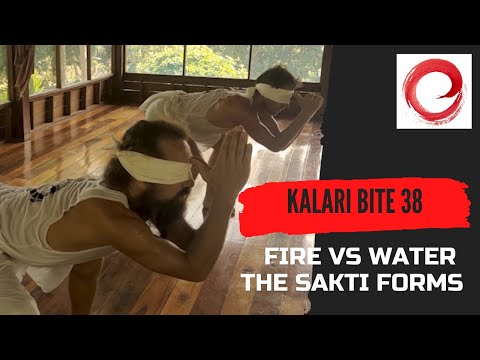 FIRE vs WATER - The SAKTI forms | Kalari BITE 38